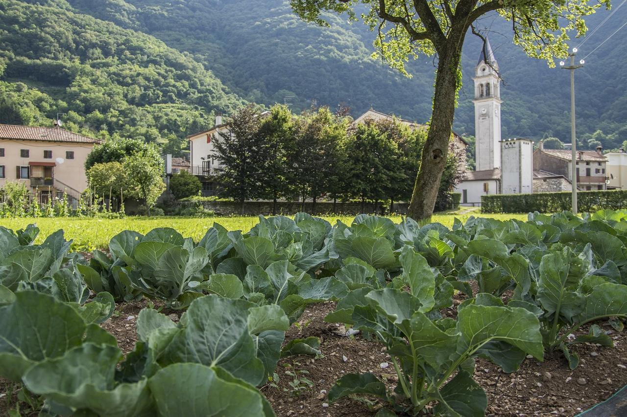 Locanda Solagna Quero Exterior foto