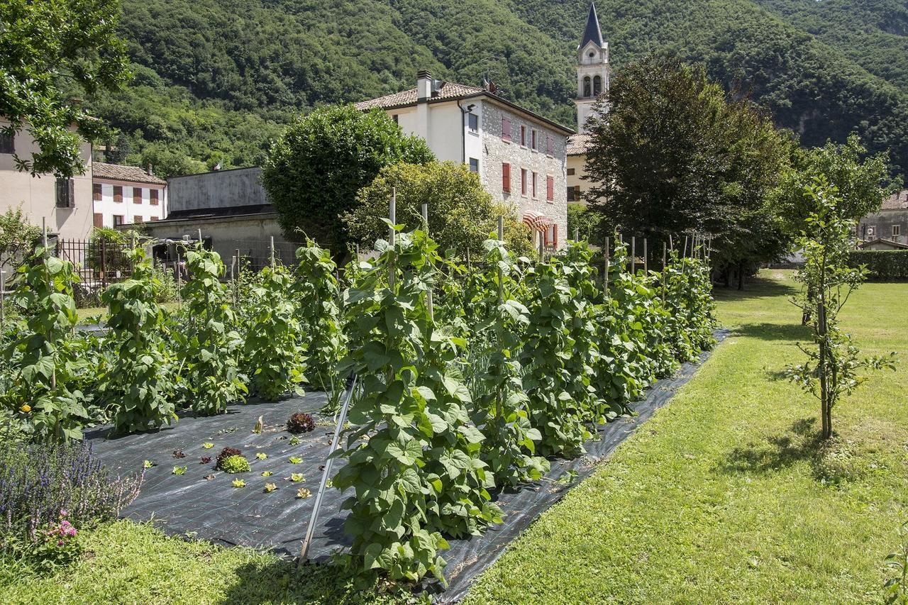 Locanda Solagna Quero Exterior foto